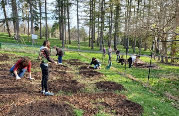 students working in Lafayette Road garden