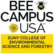 Bee Campus USA - SUNY College of Environmental Science and Forestry