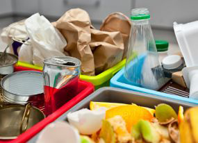 food scraps