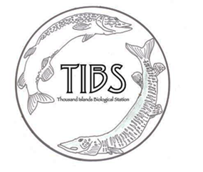 T I B S logo with two fish