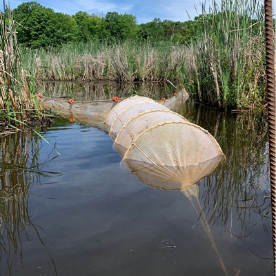 monitoring location in a rest ored wetland