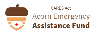 Cares Act