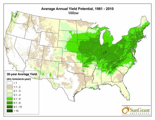 USA Map of Biomass