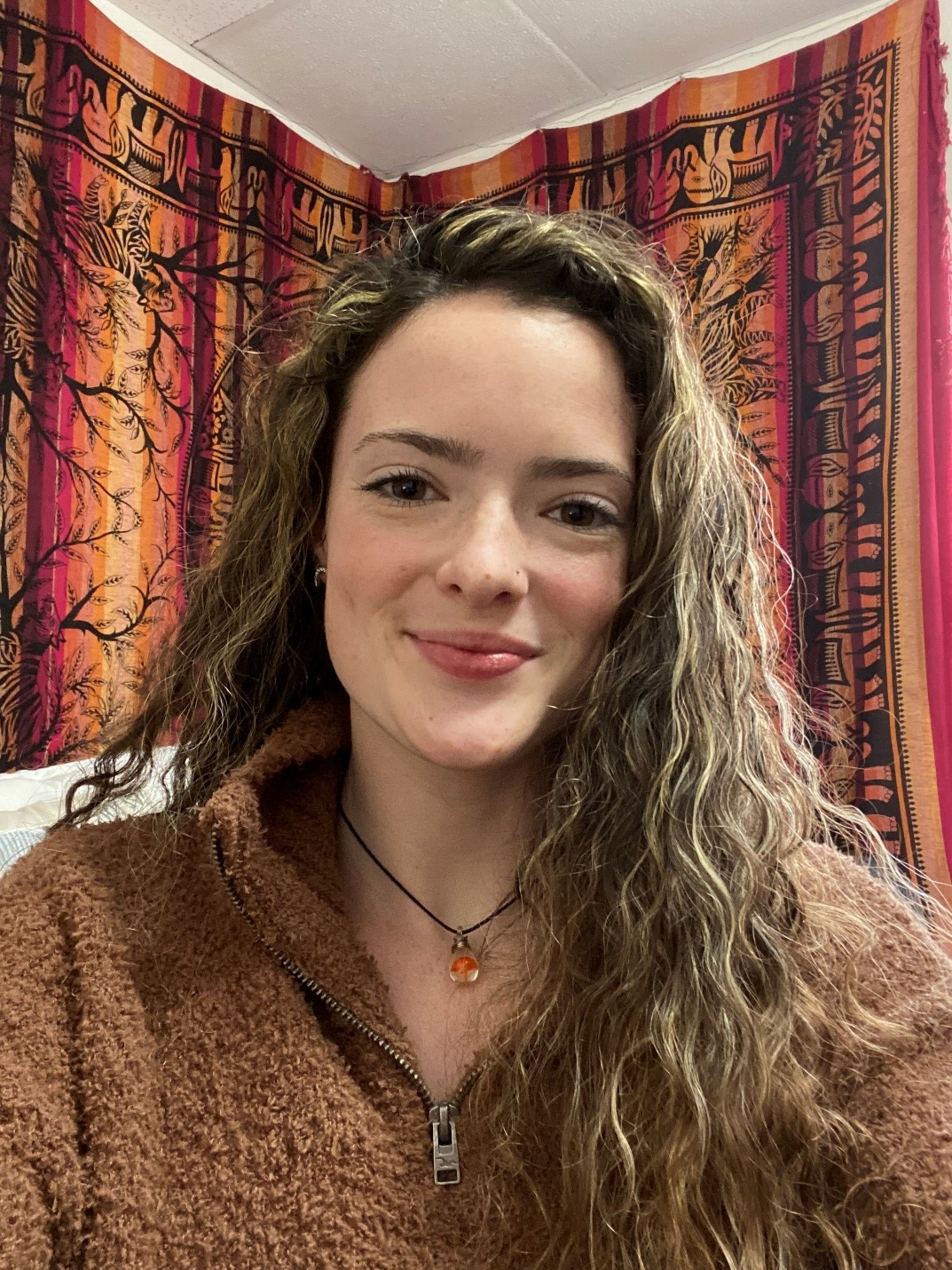 A headshot of Rachel Reycroft. She is wearing a fuzzy brown quarter zip sweater. She has long brown hair with blonde highlights. Behind her is a red, yellow, and orange tapestry.